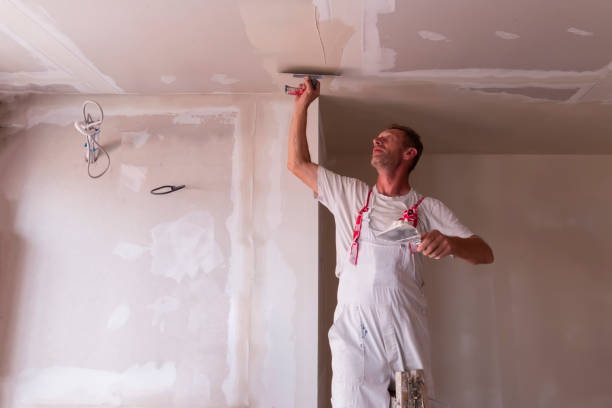 Professional Dry wall and painting in Duncansville, PA